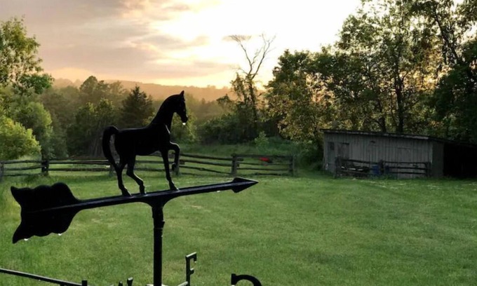 Adjala-Tosorontio Maison | Hockley Hideaway Farm Stay!