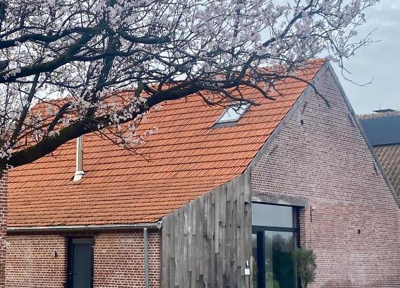 Dessel Maison | Hoeve De Kleinheide