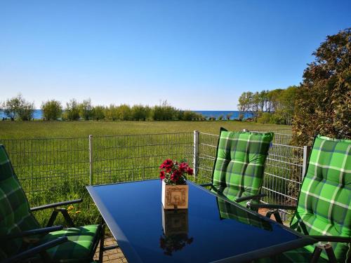Meschendorf Appartement | Hof am Meer "Seefalke"