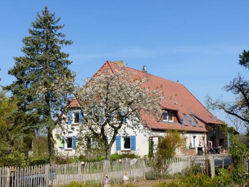 Muritz Appartement | Hof Sorgenlos