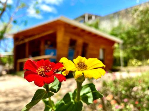 Hojancha Chalet De Ski | Hoja Azul