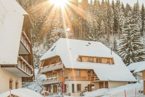Neuglashutten Appartement | Holiday Apartements by Hotel Grüner Baum Feldberg