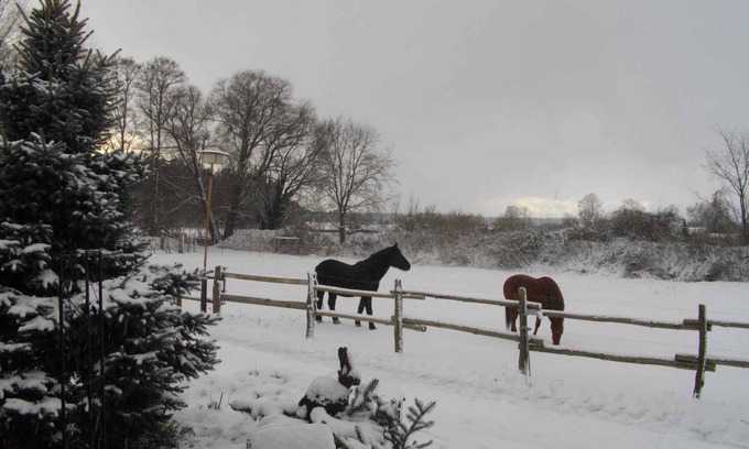 Lubben Appartement | Appartement de vacances sur un cheval