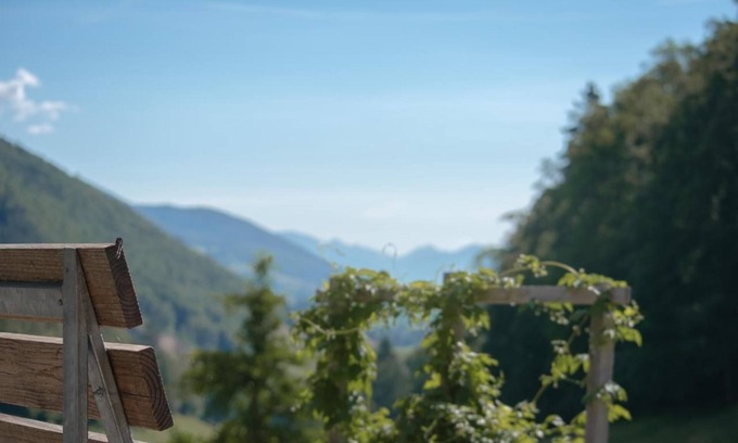 Gansbrunnen Autre | Apartamento de vacaciones Gänsbrunnen para 1 - 7 personas con 3 dormitorios - Casa rural