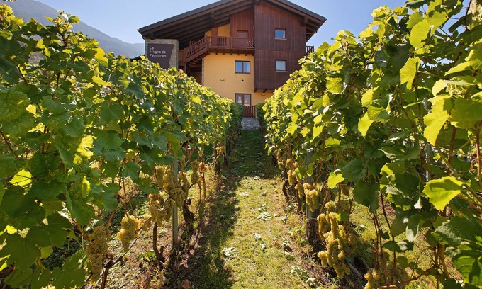 Pont Suaz Appartement | Holiday Apartment "La Vigne De Papagran 7" with Mountain View, Shared Garden & Wi-Fi