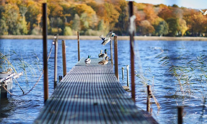 Neukloster Appartement | Holiday apartment Neukloster for 1 - 4 persons with 1 bedroom - Holiday apartment in one or multi-fa