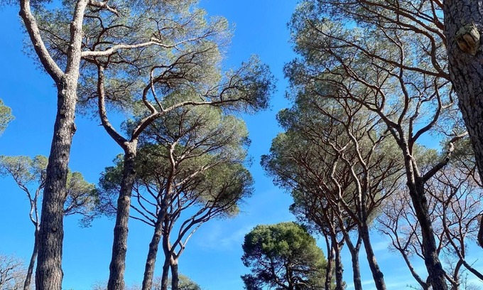 Pezenas Autre | Appartement de vacances Pézenas pour 1 - 2 personnes avec 1 chambre à coucher - Maison de vacances