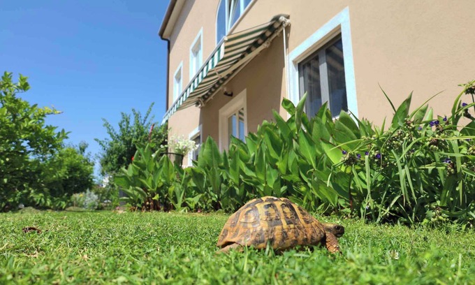 Murine Appartement | Appartement de vacances avec internet, climatisation, terrasse et jardin dans un endroit calme