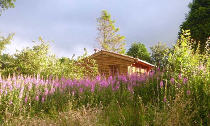 Crymych Cabine | Escapade de vacances, poêle à bois, retraite romantique