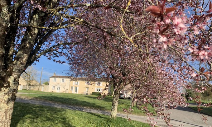 Montignac-Charente Maison | Maison de vacances 'La Maison D'eloi' avec piscine partagée, terrasse privée et Wi-Fi