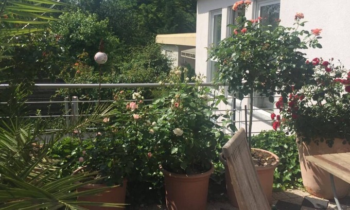 Ruwer-Eitelsbach Maison | Holiday Home 'Haus Rosengarten' with Private Terrace, Private Garden and Wi-Fi