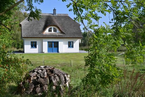 Puddemin Maison | Holiday home in Poseritz - Insel Rügen 41511