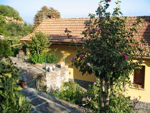 Trarego Viggiona Maison | Holiday Home Monte Tabor by Interhome