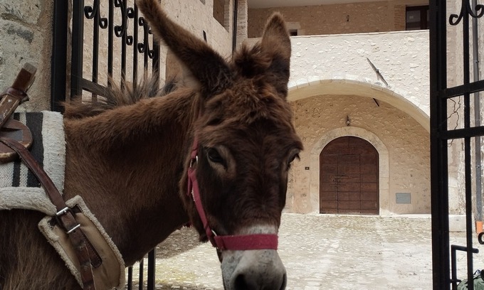 Goriano Valli Appartement | Holiday home “Orso” - Spacious apartment in a historic palazzo