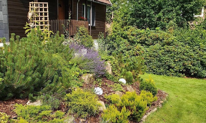 Braunlage Maison | Maison de vacances Braunlage pour 2 - 4 personnes avec 2 chambres à coucher - Maison jumelée