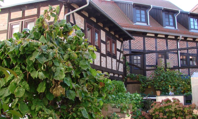 Wolgast Appartement | Maison de vacances Sontag - Maison de vacances