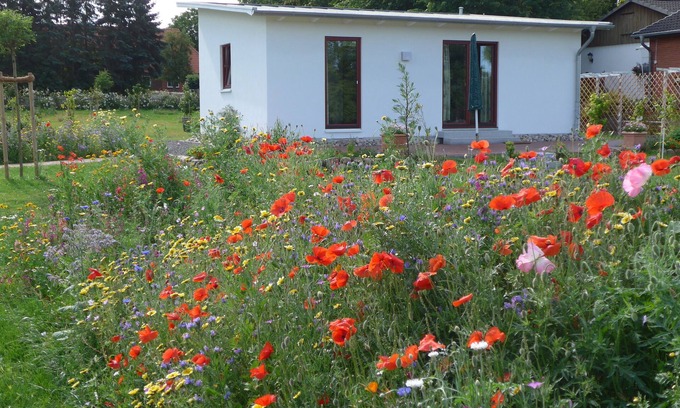 Goldenbek Maison | Maison de vacances avec jardin près de la mer Baltique