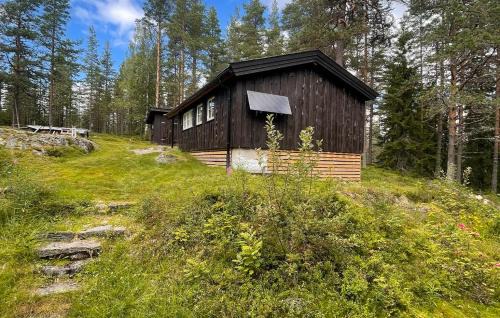 Asnes Municipality Autre | Holmsjøhytta