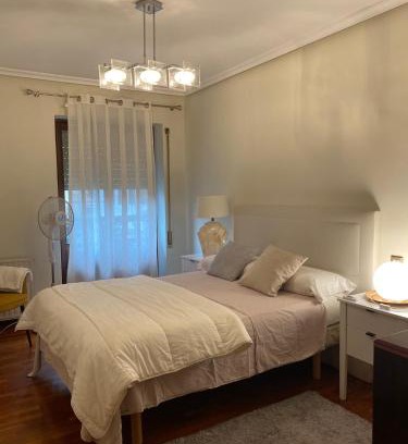 Zumarraga Appartement | HomeOffice with Church Views