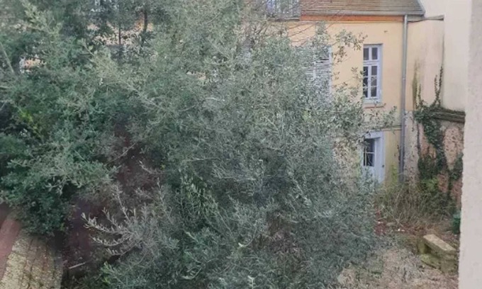 Limeil-Brevannes Appartement | Homerez - Apartment in Limeil-Brévannes