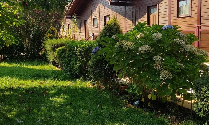 Ourem Appartement | Homerez - Cozy studio in Matas