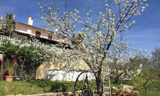 Treglio Villa | Homerez - Elegant Villa in Treglio with Private Pool