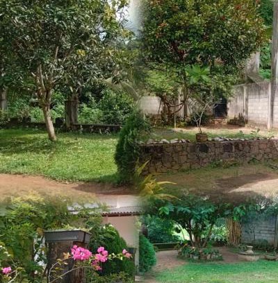 Welipitiya Maison | Homestay in Naturals Village