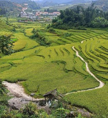 Sa Pa Cabine | Homestay Núi Đá Tả Phìn