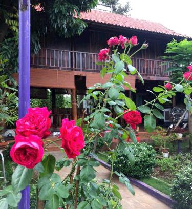 Buon Ma Thuot Maison | homestay nhà sàn
