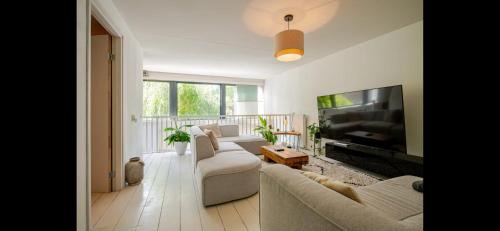 Nieuw-West Maison | Homestay Properties