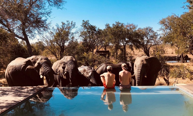Thorny Bush Game Reserve Hôtel | Honeyguide Tented Safari Camps - Mantobeni