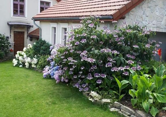 Myslenice Appartement | Hortensjowe Wzgórze
