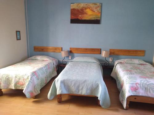 Zona Minerva Maison | Hostal don Felipe