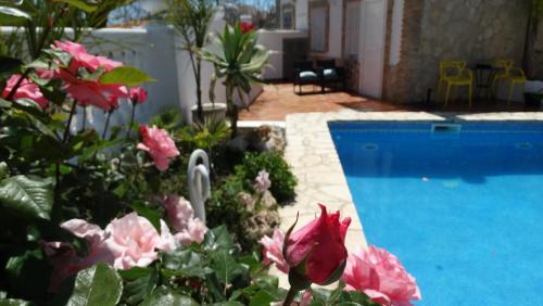 Calpe Maison | Hostal La Paloma II