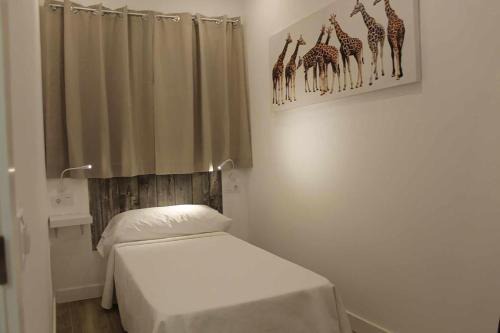 Fuencarral Maison | Hostal royal begoña