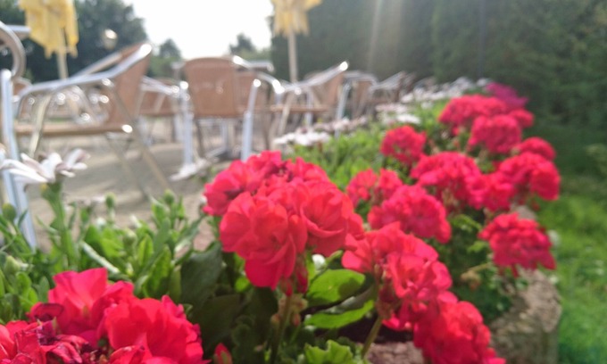 Lubbenau/Spreewald Hôtel | Hotel am Muehlberg