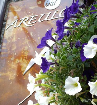 Cerler Hôtel | Hotel Areulo