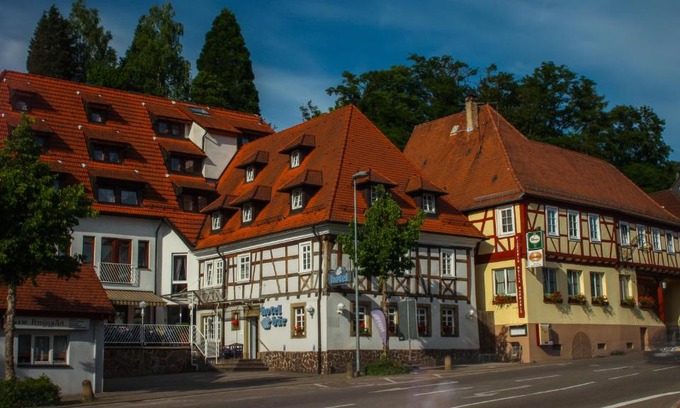 Sinsheim Hôtel | Hotel Bär