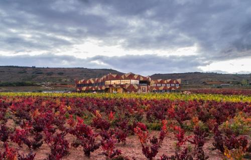 Navarrete Hôtel | Hotel Bodega FyA - GRUPO PIÉROLA
