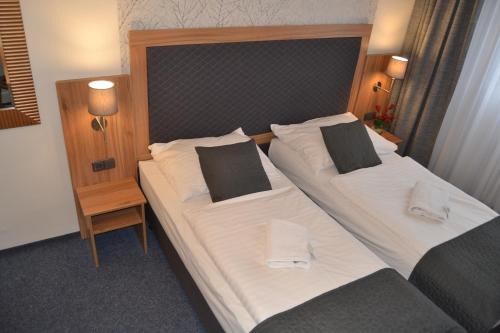 Branik Hôtel | Hotel Bohemians