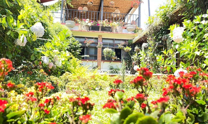 Coban Auberge | Hotel Casa Chapultepec - Hostel