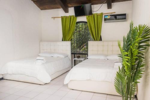 Ciudad Cariari Hôtel | Hotel Casona del Valle