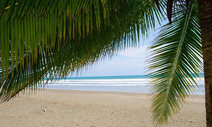 Parrita Hôtel | Hotel Cocomar Beachfront Hotel