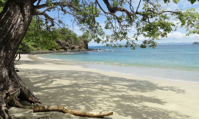 Coco Hôtel | Hotel Colono Beach