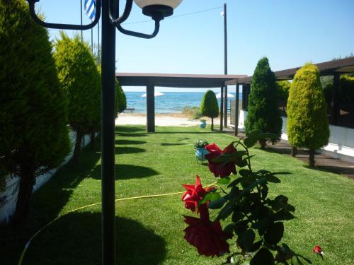 Tsoukalaiika Appartement | Hotel Dimitra