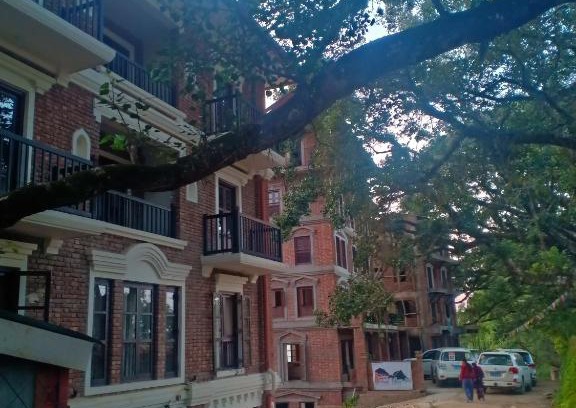 Bandipur Hôtel | Hotel Durbar Himalaya