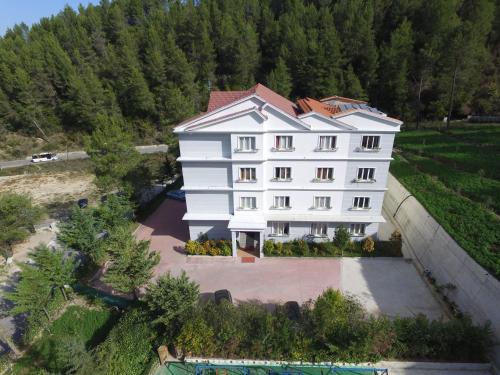 Petrele Hôtel | Hotel Elvis