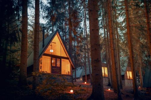 Dolni Mesto Appartement | Hotel Kouty - Lesní Apartmány