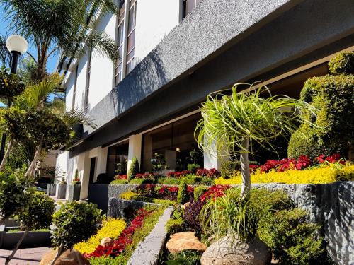 Zona Minerva Hôtel | Hotel Las Pergolas