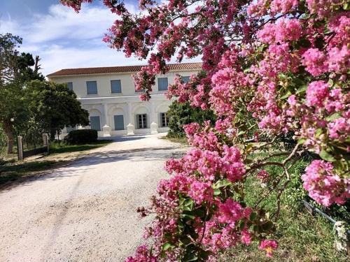 Le Soler Hôtel | HOTEL LE FLOREAL